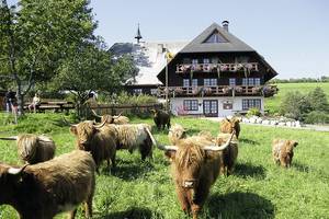 Bild 1 - Ospelehof