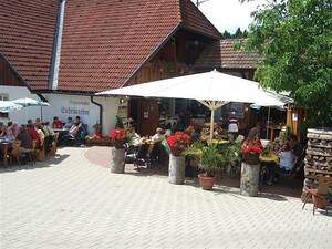Bild 1 - 