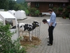 Bild 6 - Ramsteinerhof
