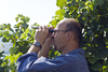 Bild 6 - Weingut Nopper